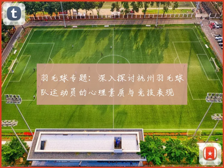 羽毛球专题：深入探讨杭州羽毛球队运动员的心理素质与竞技表现