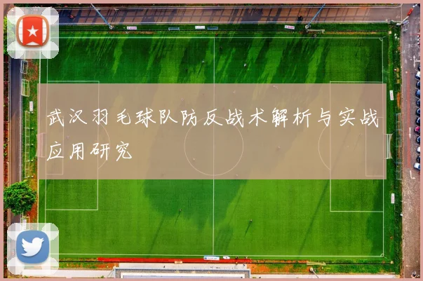 武汉羽毛球队防反战术解析与实战应用研究