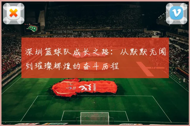 深圳篮球队成长之路：从默默无闻到璀璨辉煌的奋斗历程