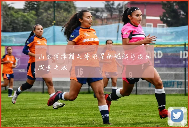 山东菏泽籍足球明星的崛起与成就探索之旅