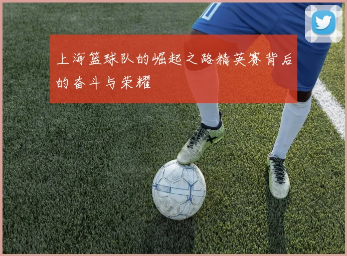 上海篮球队的崛起之路精英赛背后的奋斗与荣耀