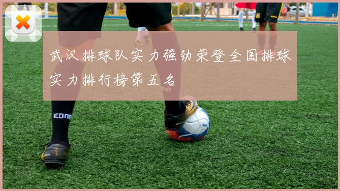 武汉排球队实力强劲荣登全国排球实力排行榜第五名