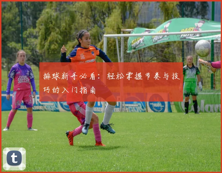 排球新手必看：轻松掌握节奏与技巧的入门指南