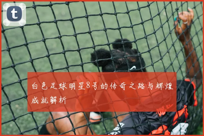 白色足球明星8号的传奇之路与辉煌成就解析